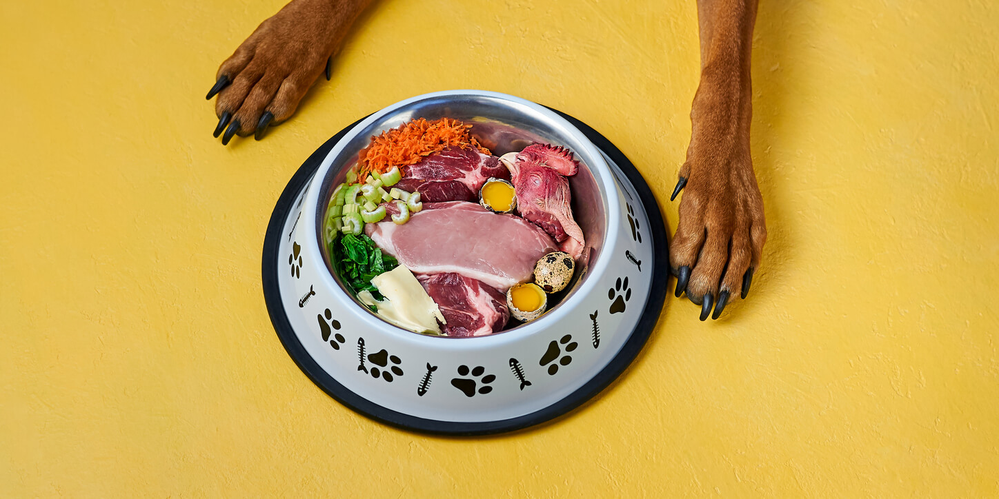 A dog's paws next to a plate of raw food.
